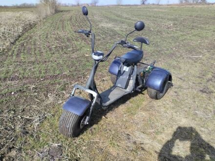 Citycoco Другая 2021 в Ставище на Automoto.ua Citycoco Другая, объемом двигателя 0 л и пробегом 0 тыс. км за 39999 $, фото 1 на Automoto.ua