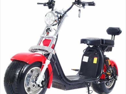 Citycoco Другая, объемом двигателя 0 л и пробегом 0 тыс. км за 45000 $, фото 1 на Automoto.ua
