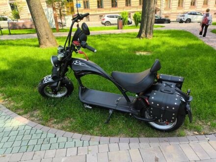 Citycoco Другая, объемом двигателя 0 л и пробегом 0 тыс. км за 80000 $, фото 1 на Automoto.ua