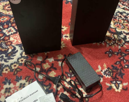 Citycoco Connect, об'ємом двигуна 0 л та пробігом 140 тис. км за 1450 $, фото 12 на Automoto.ua