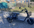 Citycoco Ride 3, об'ємом двигуна 1 л та пробігом 2 тис. км за 1087 $, фото 5 на Automoto.ua