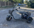 Citycoco Ride 3, об'ємом двигуна 1 л та пробігом 2 тис. км за 1087 $, фото 2 на Automoto.ua