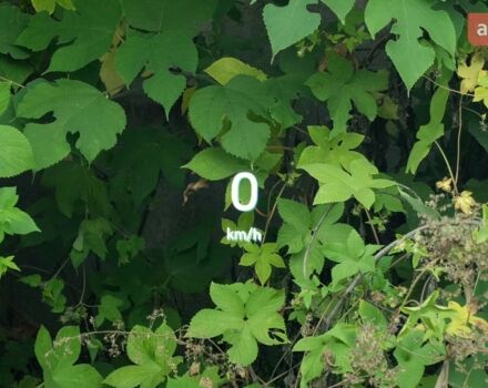 купити нове авто Denza N8L 2025 року від офіційного дилера Автосалон ECODRIVE AUTO Київ Denza фото