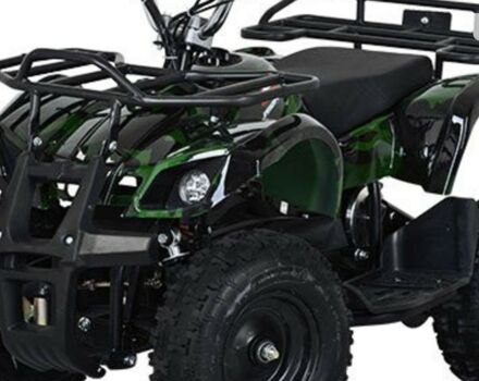 купити нове авто E - ATV Profi 2025 року від офіційного дилера Богдан E - ATV фото