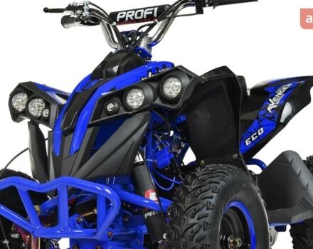 купити нове авто E - ATV Profi 2025 року від офіційного дилера Богдан E - ATV фото