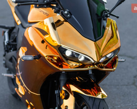 купить новое авто Electromoto EM Panigale Plus 2025 года от официального дилера Наталья Баринова Electromoto фото