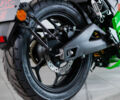 купить новое авто Electromoto EM Panigale Plus 2025 года от официального дилера Наталья Баринова Electromoto фото