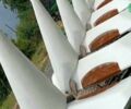 Elibol MHS 8, об'ємом двигуна 6 л та пробігом 0 тис. км за 42793 $, фото 4 на Automoto.ua