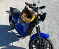 Синій Elwinn Panigale, об'ємом двигуна 0 л та пробігом 1 тис. км за 3000 $, фото 1 на Automoto.ua
