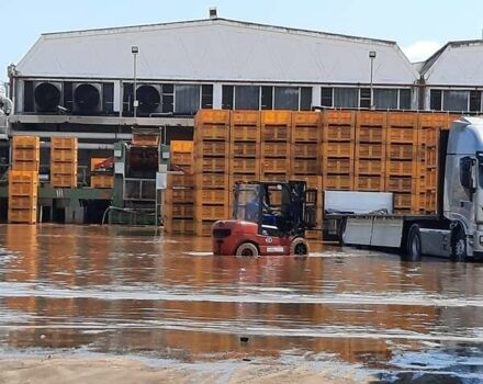 EP Equipment EFL, объемом двигателя 0 л и пробегом 0 тыс. км за 29950 $, фото 14 на Automoto.ua