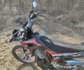 Черный Exdrive CRF-250, объемом двигателя 0.25 л и пробегом 2 тыс. км за 1750 $, фото 15 на Automoto.ua