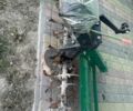 Файтер Інша, об'ємом двигуна 0 л та пробігом 23 тис. км за 2037 $, фото 7 на Automoto.ua