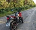 Hornet 95 XF 380, об'ємом двигуна 0.25 л та пробігом 0 тис. км за 40000 $, фото 3 на Automoto.ua