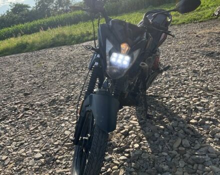 Hornet Другая, объемом двигателя 0.2 л и пробегом 0 тыс. км за 606 $, фото 6 на Automoto.ua