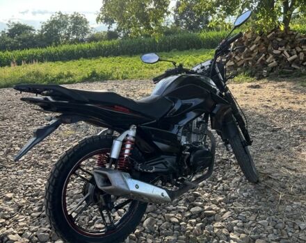 Hornet Другая, объемом двигателя 0.2 л и пробегом 0 тыс. км за 606 $, фото 4 на Automoto.ua