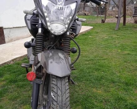 Hornet Другая, объемом двигателя 0.15 л и пробегом 0 тыс. км за 20000 $, фото 2 на Automoto.ua