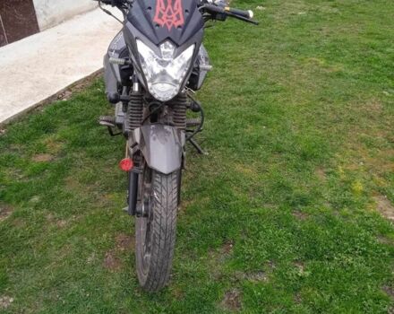 Hornet Другая, объемом двигателя 0.15 л и пробегом 0 тыс. км за 20000 $, фото 3 на Automoto.ua