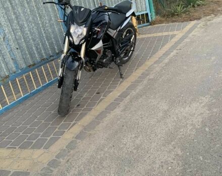 Hornet Інша, об'ємом двигуна 0.25 л та пробігом 0 тис. км за 997 $, фото 2 на Automoto.ua