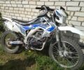 Hornet Другая, объемом двигателя 0.25 л и пробегом 0 тыс. км за 1000 $, фото 1 на Automoto.ua
