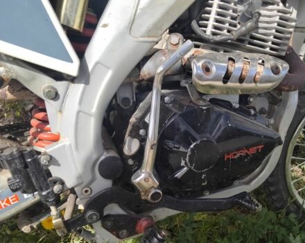 Hornet Другая, объемом двигателя 0.25 л и пробегом 0 тыс. км за 1000 $, фото 6 на Automoto.ua