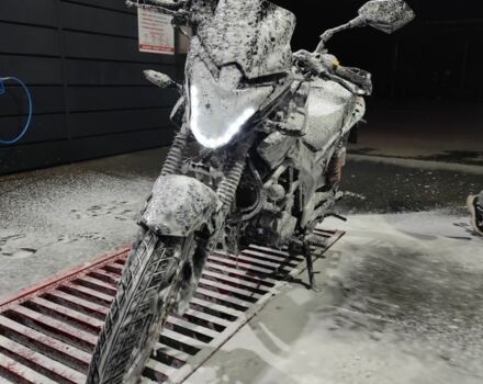 Hornet RS-150, объемом двигателя 0.15 л и пробегом 0 тыс. км за 800 $, фото 2 на Automoto.ua