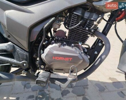 Серый Hornet RS-150, объемом двигателя 0.15 л и пробегом 4 тыс. км за 722 $, фото 3 на Automoto.ua
