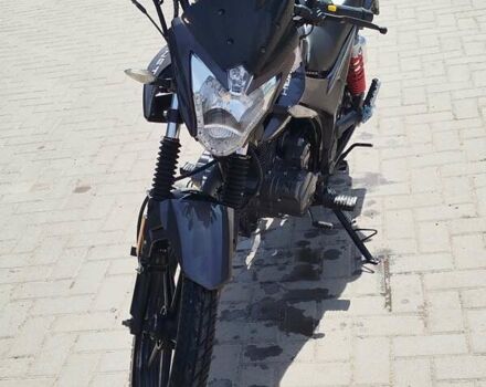 Серый Hornet RS-150, объемом двигателя 0.15 л и пробегом 4 тыс. км за 722 $, фото 6 на Automoto.ua