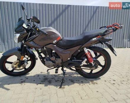 Серый Hornet RS-150, объемом двигателя 0.15 л и пробегом 4 тыс. км за 722 $, фото 17 на Automoto.ua