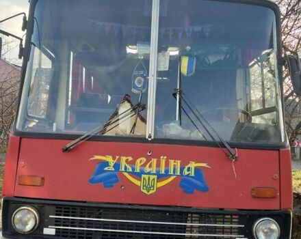 Белый Ikarus 211, объемом двигателя 6.5 л и пробегом 400 тыс. км за 2800 $, фото 1 на Automoto.ua