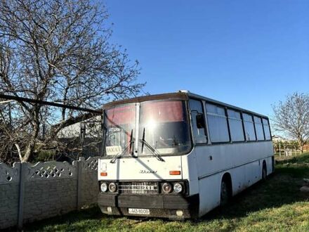 Белый Ikarus 256, объемом двигателя 10.35 л и пробегом 500 тыс. км за 3250 $, фото 1 на Automoto.ua