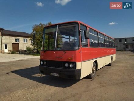 Ikarus 256 1989 у Дрогобичі на Automoto.ua Червоний Ikarus 256, об'ємом двигуна 10.4 л та пробігом 1 тис. км за 12500 $, фото 1 на Automoto.ua