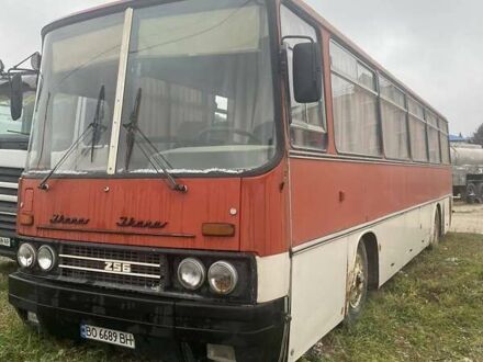 Ikarus 256 1990 в Тернополе на Automoto.ua Красный Ikarus 256, объемом двигателя 10.4 л и пробегом 100 тыс. км за 3700 $, фото 1 на Automoto.ua