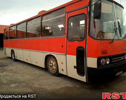 Ikarus 256, об'ємом двигуна 10.5 л та пробігом 0 тис. км за 5000 $, фото 2 на Automoto.ua