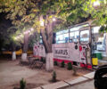 Ikarus 256, объемом двигателя 0 л и пробегом 200 тыс. км за 10000 $, фото 1 на Automoto.ua