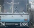 Синий Ikarus 256, объемом двигателя 10.35 л и пробегом 600 тыс. км за 2500 $, фото 1 на Automoto.ua