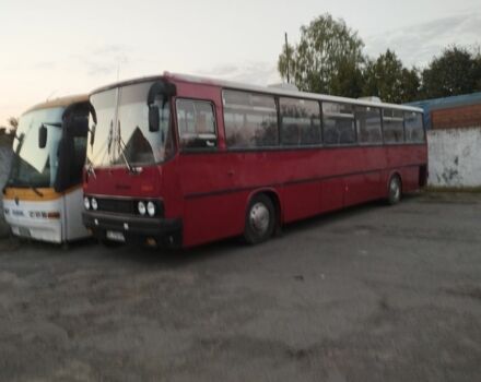 Ikarus 6510, объемом двигателя 14.86 л и пробегом 0 тыс. км за 5500 $, фото 5 на Automoto.ua