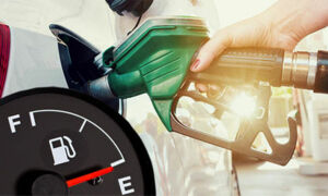 Прогнозируют 3-5% снижение цены на бензин