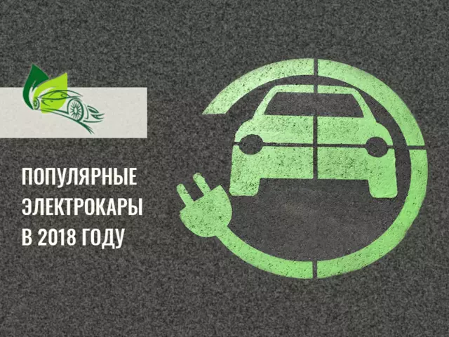 Хит-парад электромобилей, поставленных на первую регистрацию в 2018 году Хит-парад электромобилей, поставленных на первую регистрацию в 2018 году