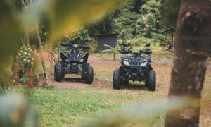 квадроцикли особливості сучасних квадроциклів