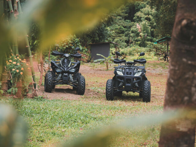 особенности современных квадроциклов