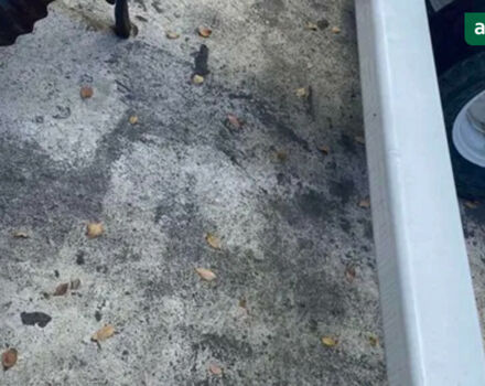 Kello-Bilt 275, объемом двигателя 0 л и пробегом 0 тыс. км за 38380 $, фото 7 на Automoto.ua