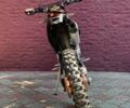Kovi 250 Advance, объемом двигателя 0.25 л и пробегом 0 тыс. км за 2100 $, фото 8 на Automoto.ua