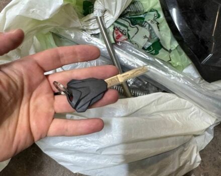 Kovi Інша, об'ємом двигуна 0.25 л та пробігом 0 тис. км за 1950 $, фото 22 на Automoto.ua