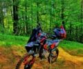 Kovi Інша, об'ємом двигуна 0.25 л та пробігом 0 тис. км за 1900 $, фото 3 на Automoto.ua