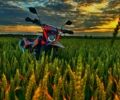 Kovi Інша, об'ємом двигуна 0.25 л та пробігом 0 тис. км за 1900 $, фото 1 на Automoto.ua