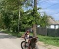 Kovi Інша, об'ємом двигуна 0.25 л та пробігом 0 тис. км за 1900 $, фото 1 на Automoto.ua