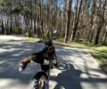 Kovi Інша, об'ємом двигуна 0.3 л та пробігом 0 тис. км за 1619 $, фото 7 на Automoto.ua