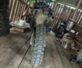 Kovi Другая, объемом двигателя 0.25 л и пробегом 0 тыс. км за 1400 $, фото 1 на Automoto.ua