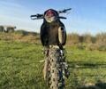 Kovi Інша, об'ємом двигуна 0.25 л та пробігом 0 тис. км за 1000 $, фото 6 на Automoto.ua