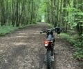 Kovi Другая, объемом двигателя 0.3 л и пробегом 0 тыс. км за 1844 $, фото 6 на Automoto.ua
